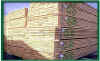 pg2_02.jpg (11165 bytes)